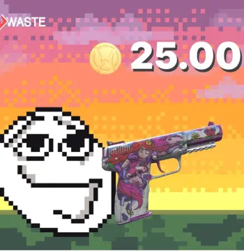 Skinwaste 25 Coins Gift Card