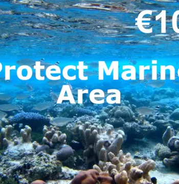 Dots.eco - Protect Marine Area EUR 10 Gift Card NL