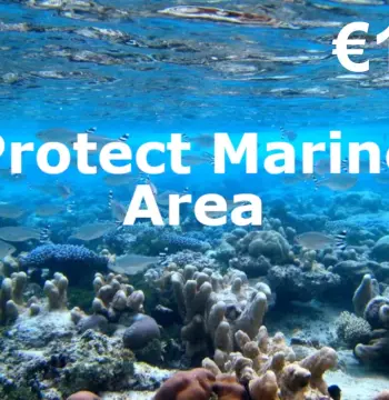 Dots.eco - Protect Marine Area EUR 1 Gift Card NL