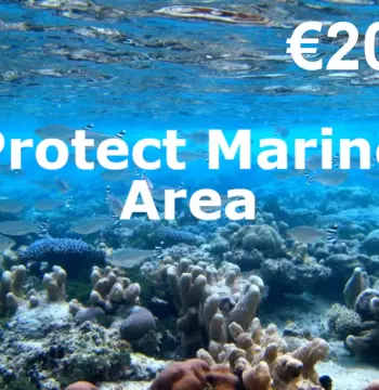 Dots.eco - Protect Marine Area EUR 20 Gift Card NL