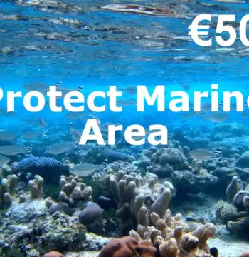 Dots.eco - Protect Marine Area EUR 50 Gift Card NL