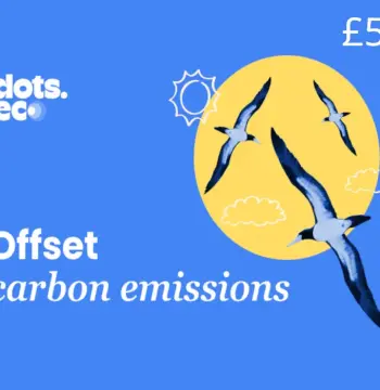 Dots.eco - Offset Carbon Emissions GPB 50 Gift Card UK