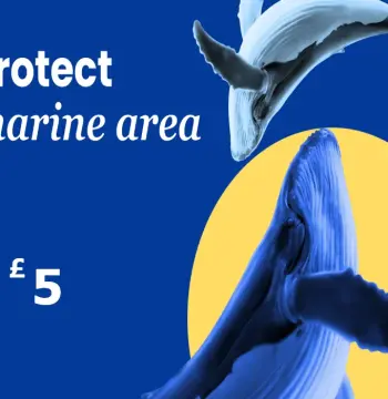 Dots.eco - Protect Marine Area GBP 5 Gift Card UK