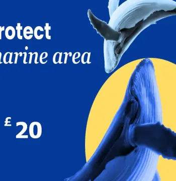Dots.eco - Protect Marine Area GBP 20 Gift Card UK