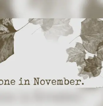 Gone In November - Collector's Edition Content DLC Steam CD Key