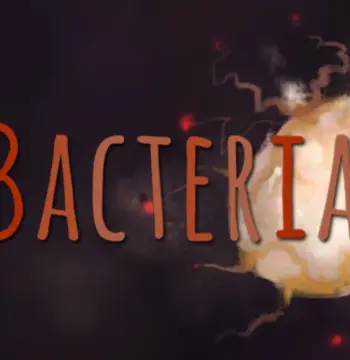 Bacteria - Collector's Edition Content DLC Steam CD Key