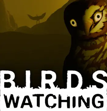 Birds Watching PC Steam CD Key