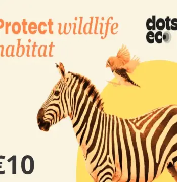 Dots.eco - Protect Wildlife Habitat EUR 10 Gift Card ES