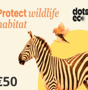 Dots.eco - Protect Wildlife Habitat EUR 50 Gift Card BE