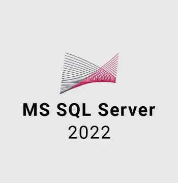 MS SQL Server 2022 EU CD Key (5 Users)