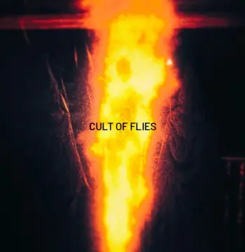 CULT OF FLIES PC Steam CD Key