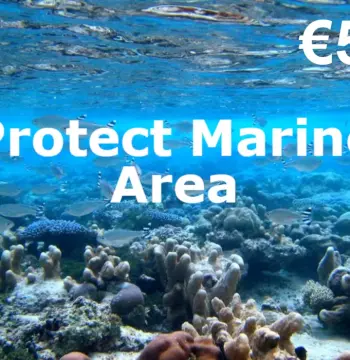 Dots.eco - Protect Marine Area EUR 5 Gift Card IE