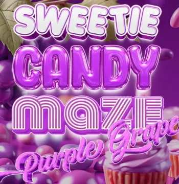 Sweetie Candy Maze: Purple Grape PC Steam CD Key