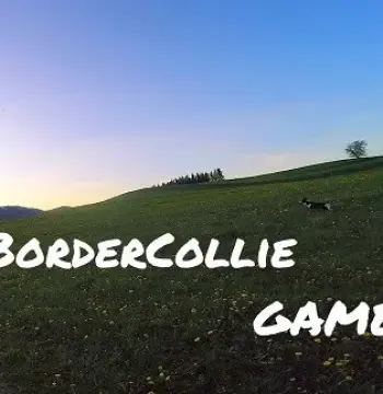 BorderCollie Game Steam CD Key
