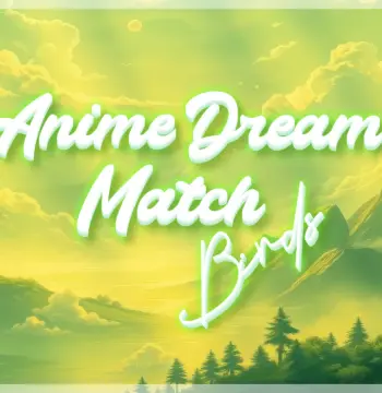 Anime Dream Match: Birds PC Steam CD Key