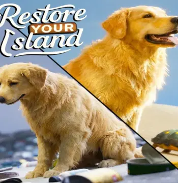 Restore Your Island PC Steam CD Key
