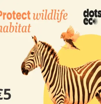 Dots.eco - Protect Wildlife Habitat EUR 5 Gift Card SK