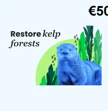 Dots.eco - Restore Kelp Forests EUR 50 Gift Card AT