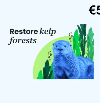 Dots.eco - Restore Kelp Forests EUR 5 Gift Card FI