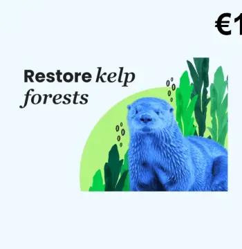 Dots.eco - Restore Kelp Forests EUR 1 Gift Card DE