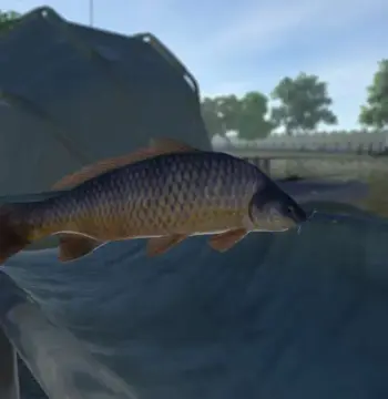 Carp Fishing Simulator PC Steam CD Key
