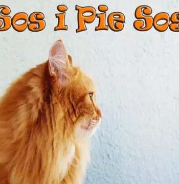 Sos i Pie Sos Steam CD Key
