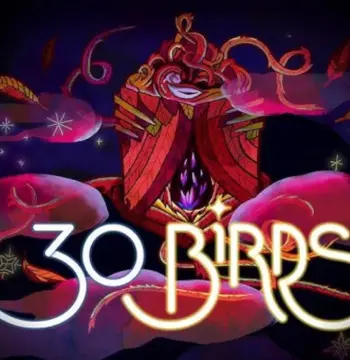 30 Birds PC Steam CD Key