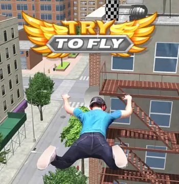 Try to Fly PC Steam CD Key