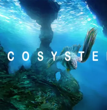 Ecosystem EU PC Steam CD Key