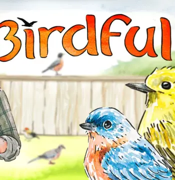 Birdfull PC Steam CD Key