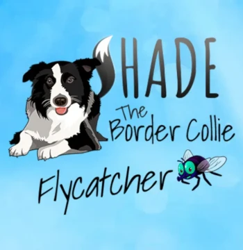 SHADE The Border Collie Flycatcher PC Steam CD Key