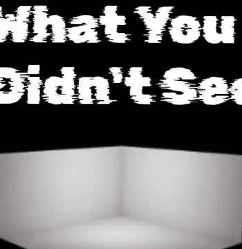 What You Didn't See PC Steam CD Key