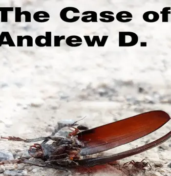The Case of Andrew D. PC Steam CD Key