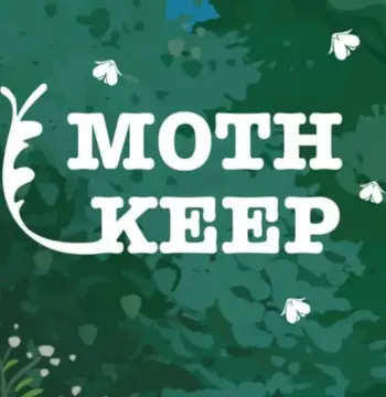 Mothkeep PC Steam CD Key