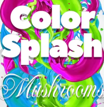 Color Splash: Mushrooms PC Steam CD Key