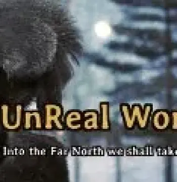 UnReal World Steam CD Key