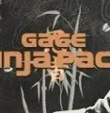 PAYDAY 2 - Gage Ninja Pack Steam CD Key