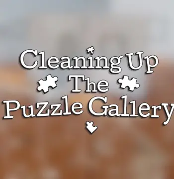Cleaning Up The Puzzle Gallery PC Steam CD Key