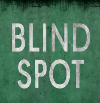 BLIND SPOT PC Steam CD Key