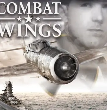 Combat Wings PC Steam CD Key