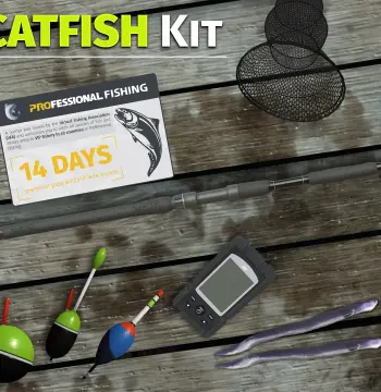 Professional Fishing - Catfish Kit DLC Steam CD Key