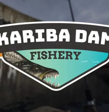 Ultimate Fishing Simulator - Kariba Dam DLC Steam CD Key