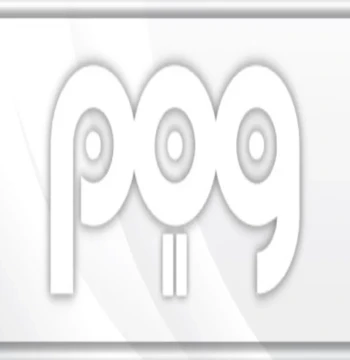 POG 2 Steam CD Key