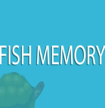 Fish Memory - (New Music Pack) DLC Steam CD Key
