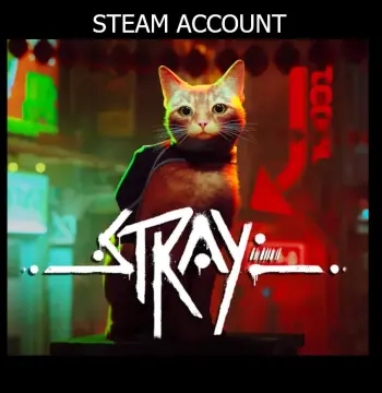 Stray Steam Account