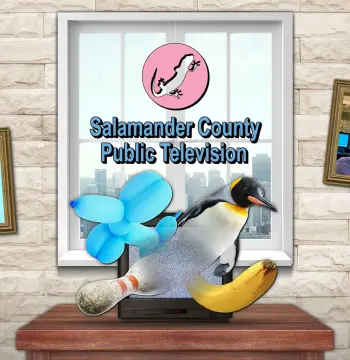 Salamander County Public Television Steam CD Key
