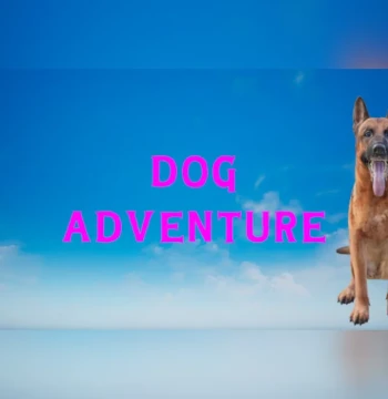 Dog Adventure Steam CD Key