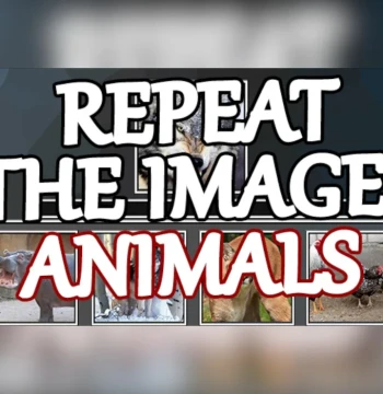 Repeat the image: Animals Steam CD Key