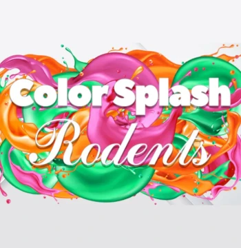Color Splash: Rodents PC Steam CD Key