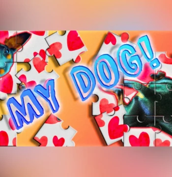 MY DOG! PC Steam CD Key